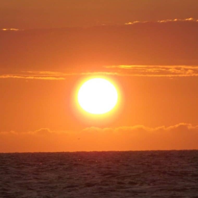 Sunset watching